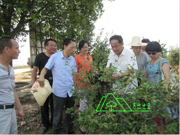江西省油茶辦主任、工程師孫勇、省科技廳農(nóng)村工作處副處長、副調(diào)研員尹伊等基地指導(dǎo)工作